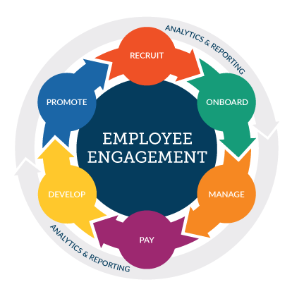 Bluewater Employee Engagement Life Cycle wheel