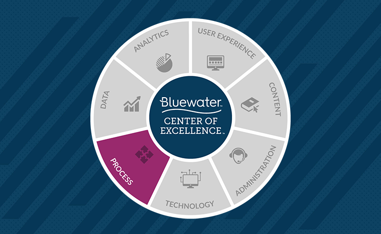Bluewater’s Center of Excellence: Process